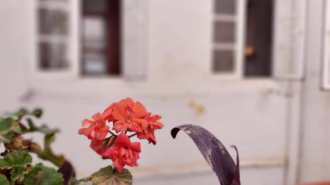 Del Parque Flats Alamos Terraza Apartman Málaga Kültér fotó