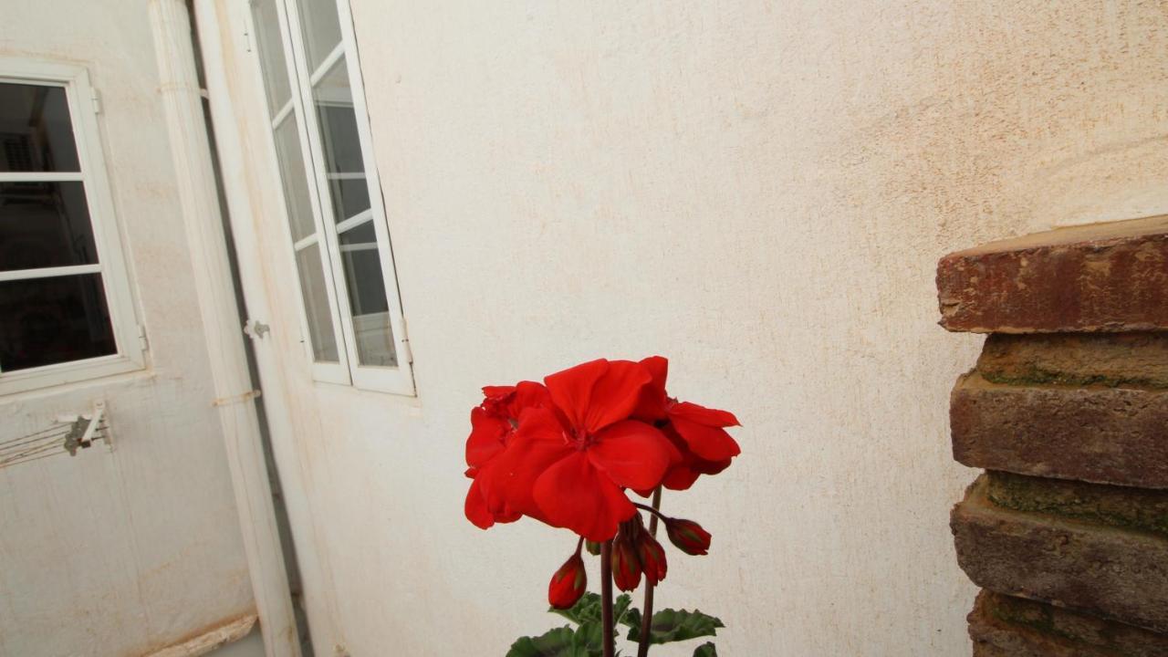 Del Parque Flats Alamos Terraza Apartman Málaga Kültér fotó